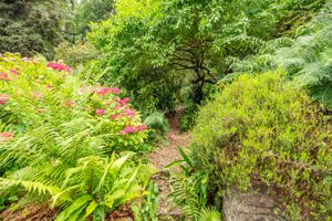 Woodland- click for photo gallery